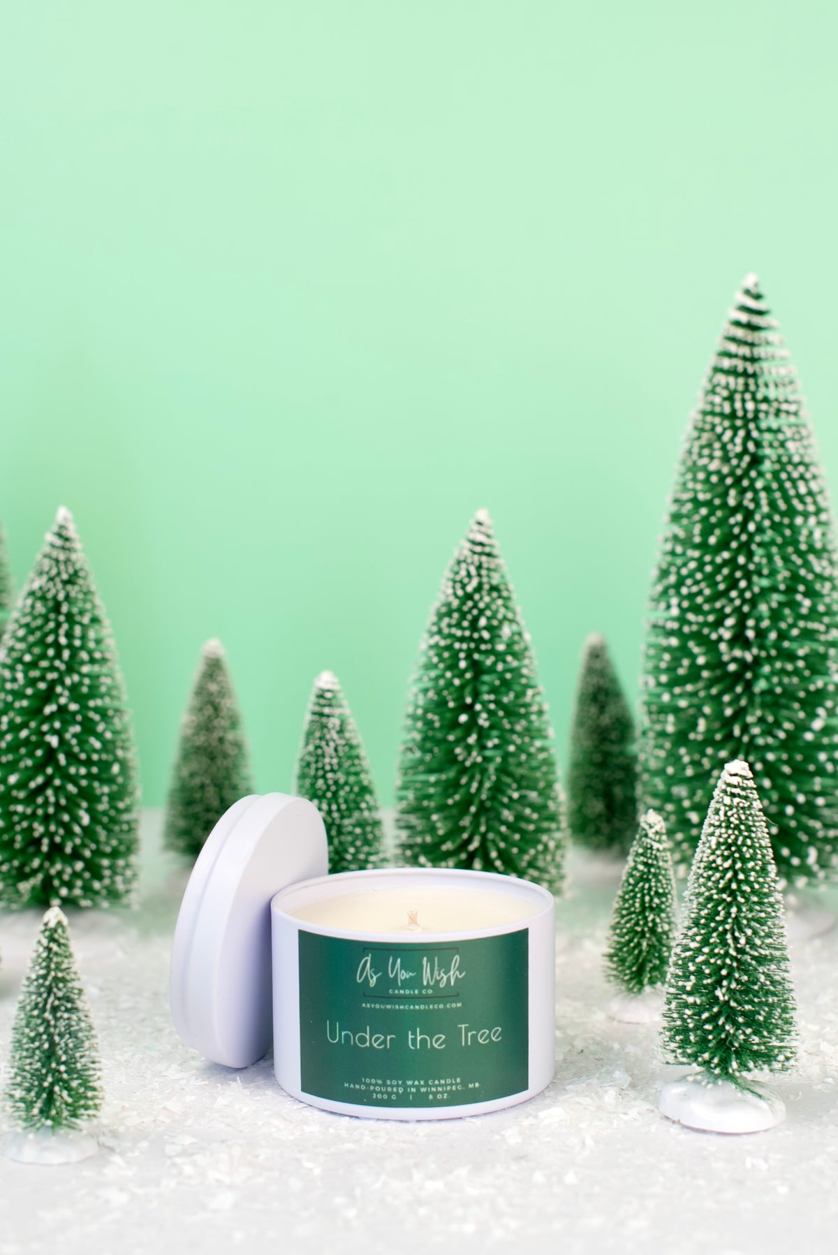 Holiday 8 oz. Soy Candle Tin